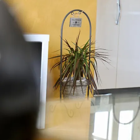 Appartement Nikol *